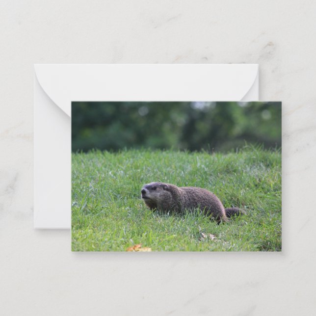 Devil's Hole Digger Note Card (Front)