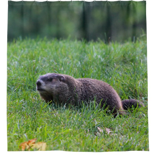 Devils Hole Digger Shower Curtain (Front)