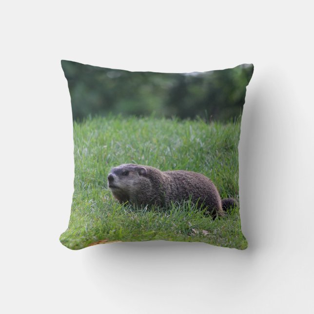 Devil's Hole Digger Throw Pillow (Front)