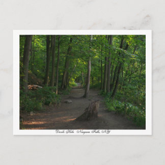 Devils Hole   Niagara Falls, NY Postcard