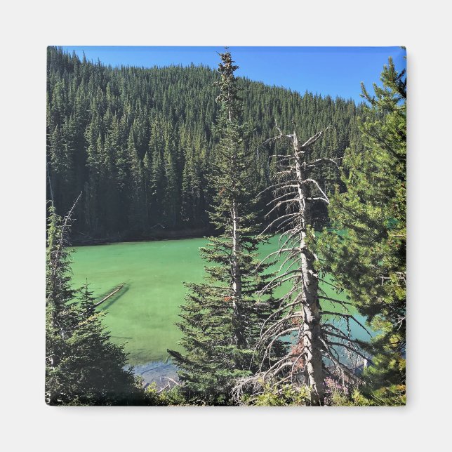 Devil's Lake, OR Magnet (Front)