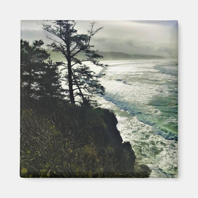 Devil's Punchbowl State Park, Newport, Oregon Magnet (Front)