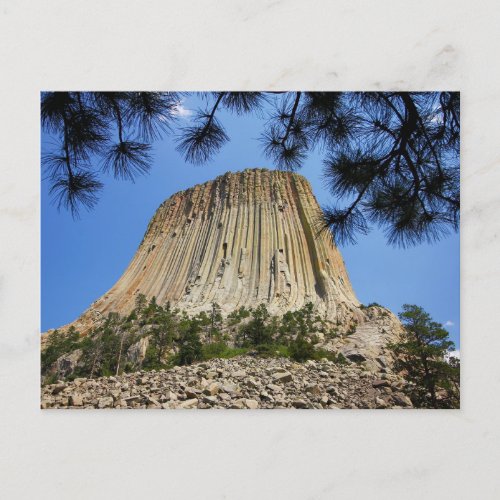 Devils Tower Devils Tower National Monument WY Postcard