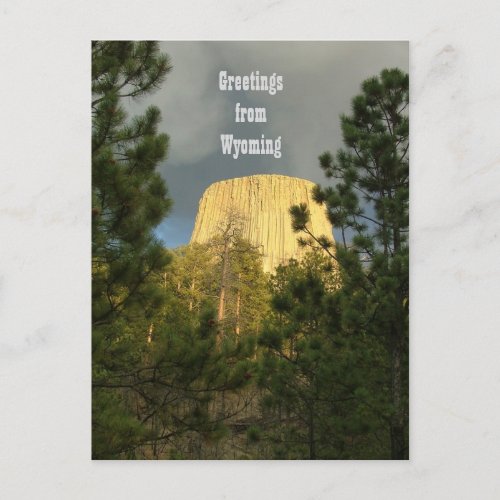 Devils Tower _ Greetings from Wyoming Postcard
