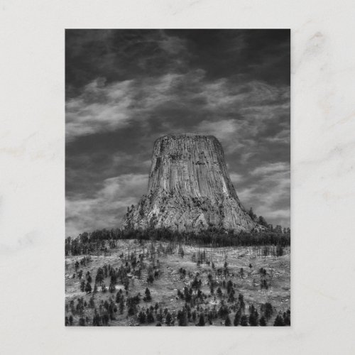 Devils Tower in Wyoming Black and White Postcard