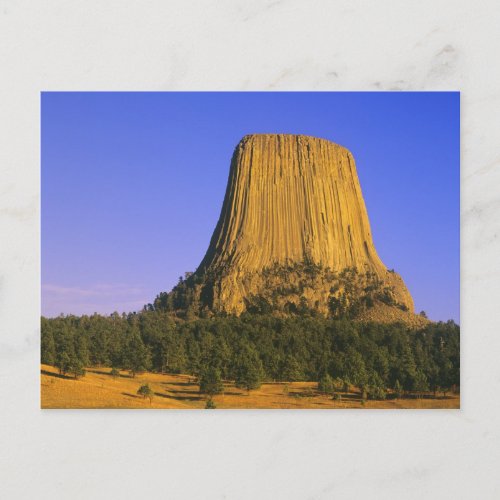 Devils Tower National Monument in Wyoming Postcard