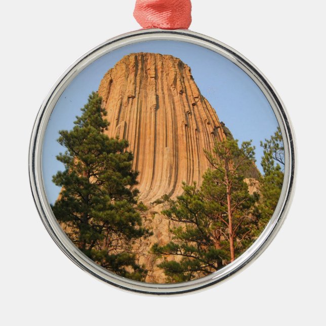 Devils Tower National Monument, Wyoming Metal Ornament (Front)
