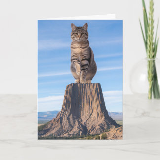 Devil's Tower Tabby Card