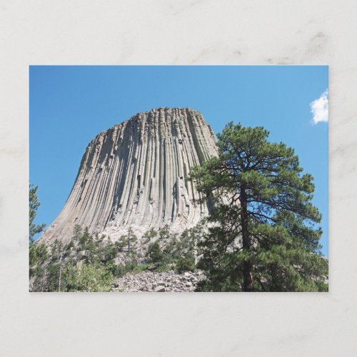 Devils Tower Wyoming Postcard