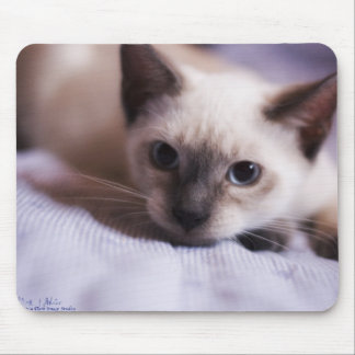 Deviously Cute Mousepad