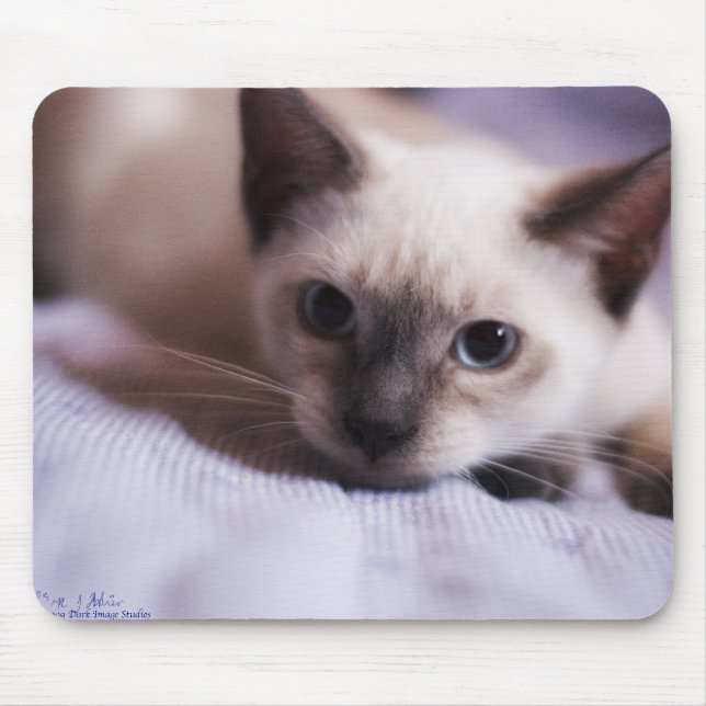 Deviously Cute Mousepad (Front)