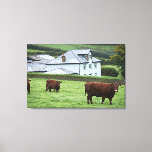 Devon, England Canvas Print (Front)