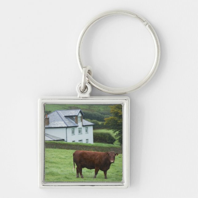 Devon, England Keychain (Front)