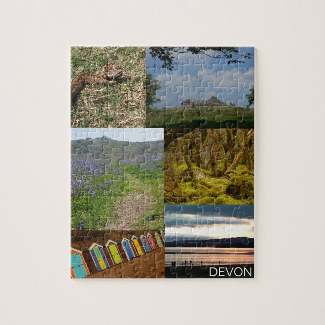 Devon Puzzle (Vertical)