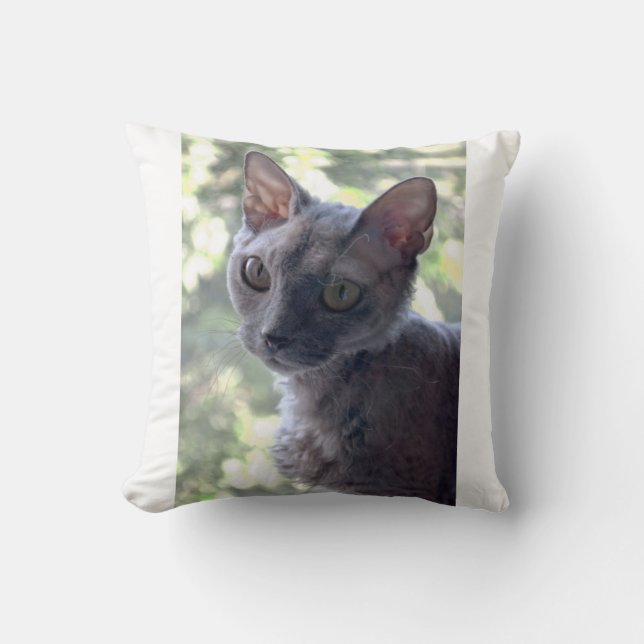 devon rex 3 throw pillow (Front)