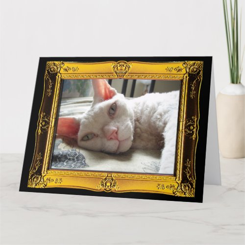 Devon Rex Cat White Cat Pet Sympathy Card