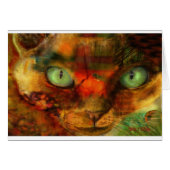 Devon Rex Close Up (Front Horizontal)