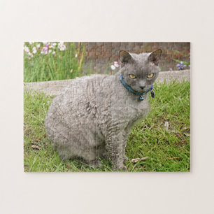 Devon Rex pet cat in garden Jigsaw Puzzle