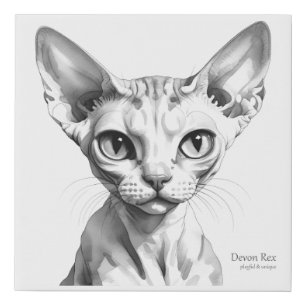 Devon Rex - Watercolour Art Faux Canvas Print