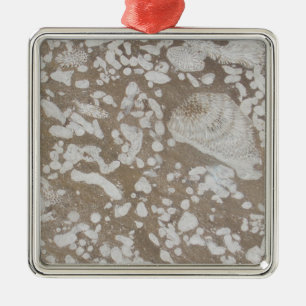 Devonian Fossil Brown & White Christmas Ornament