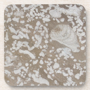 Devonian Fossil Brown & White Drink Coasters