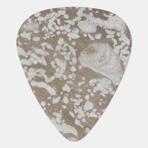 Devonian Fossil Gorge Guitar Pick