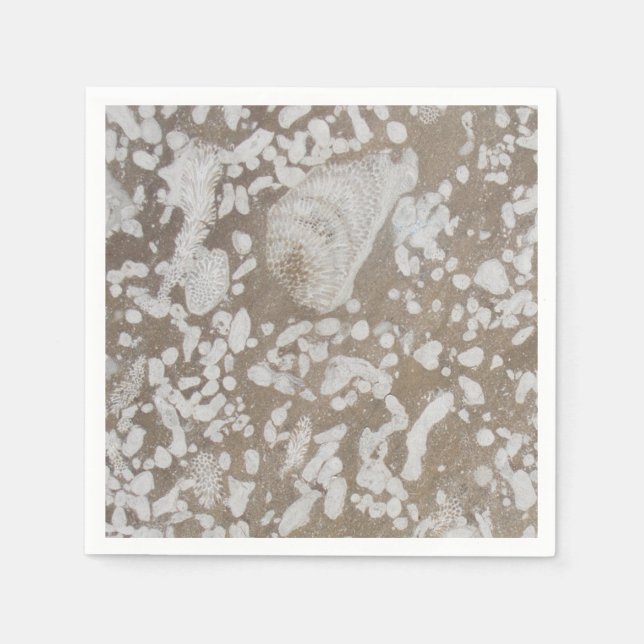 Devonian Fossil Gorge Napkins (Front)
