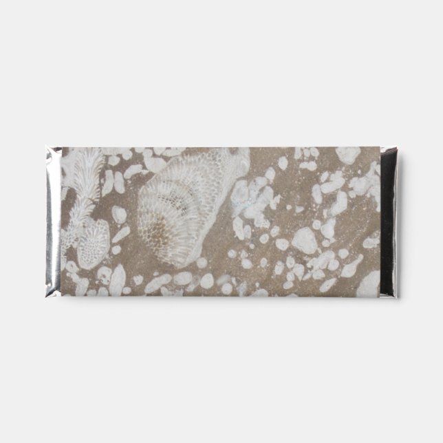 Devonian Fossil  Hershey Bar Favors (Front)