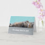 Devoted Cat Support Encouragement Card