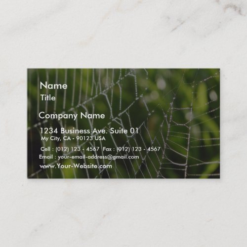 Dew And Spiderwebs Business Card