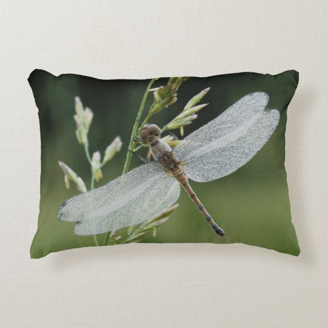 Dew covered Darner Dragonfly Decorative Pillow (Front)