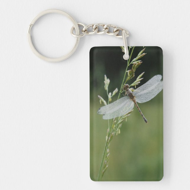 Dew covered Darner Dragonfly Keychain (Front)