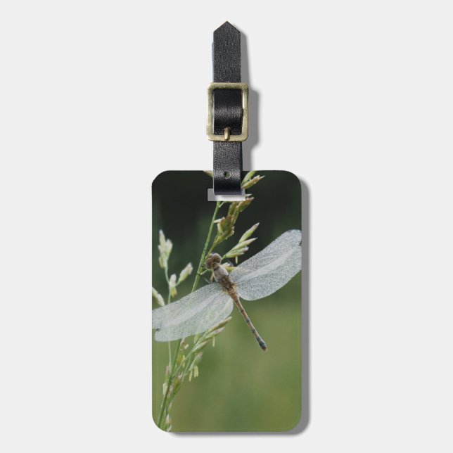 Dew covered Darner Dragonfly Luggage Tag (Front Vertical)