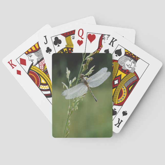 Dew covered Darner Dragonfly Poker Cards (Back)