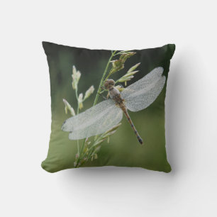 Dew covered Darner Dragonfly Throw Pillow