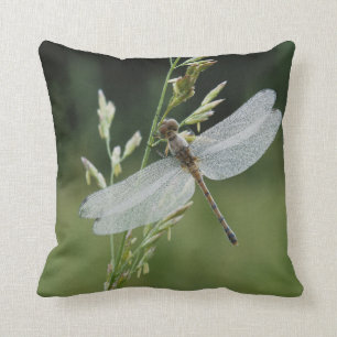 Dew covered Darner Dragonfly Throw Pillow