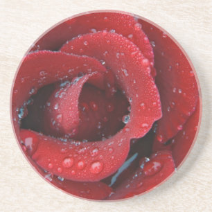Dew covered red rose decorating grave site in drink coaster