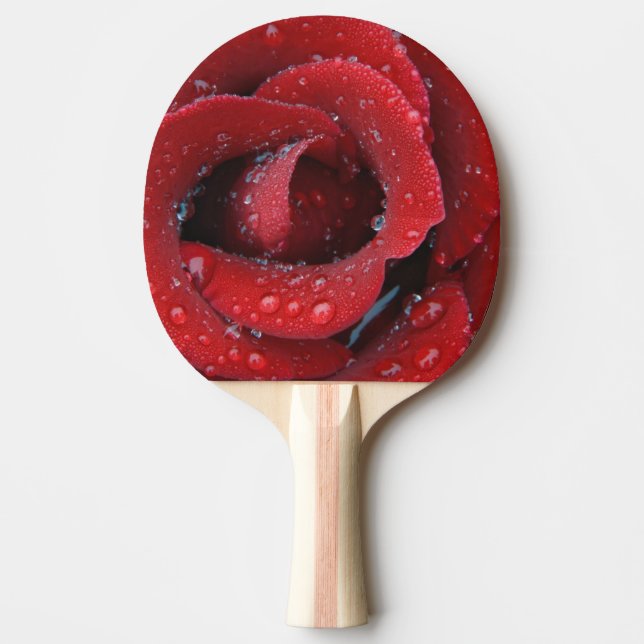 Dew covered red rose decorating grave site in Ping-Pong paddle (Front)