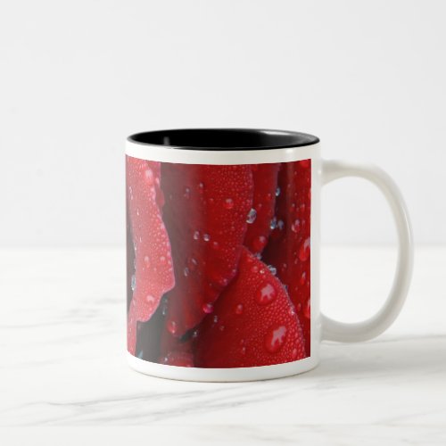 Dew covered red rose decorating grave site in Two_Tone coffee mug