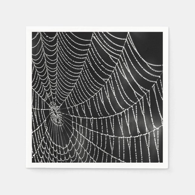 Dew-Covered Spiderweb Napkins (Front)