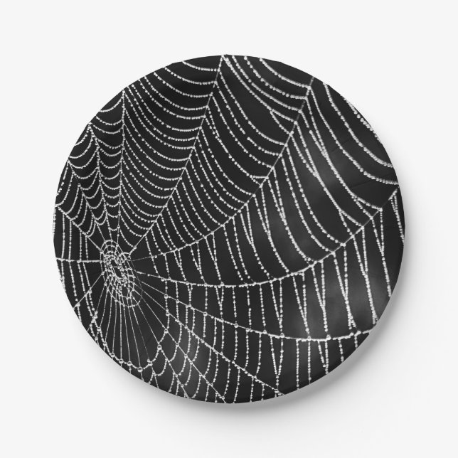 Dew-Covered Spiderweb Paper Plates (Front)