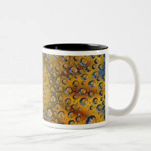 Dew Drop reflection of flower, Crescent City, Two-Tone Coffee Mug