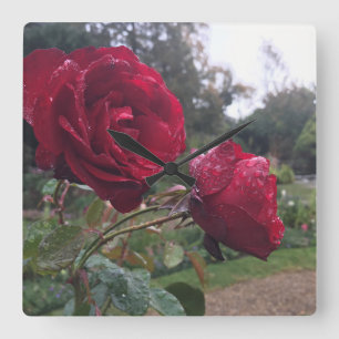 Dew Drop Roses Square Wall Clock