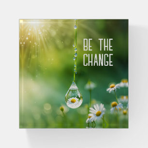 Dew Drop With Daisy Reflection Paperweight