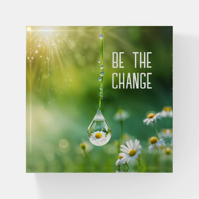 Dew Drop With Daisy Reflection Paperweight (Front)