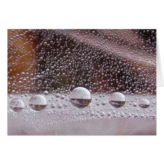 Dew Drop Yin Yang Peaceful Nature Card With Poem (Front Horizontal)