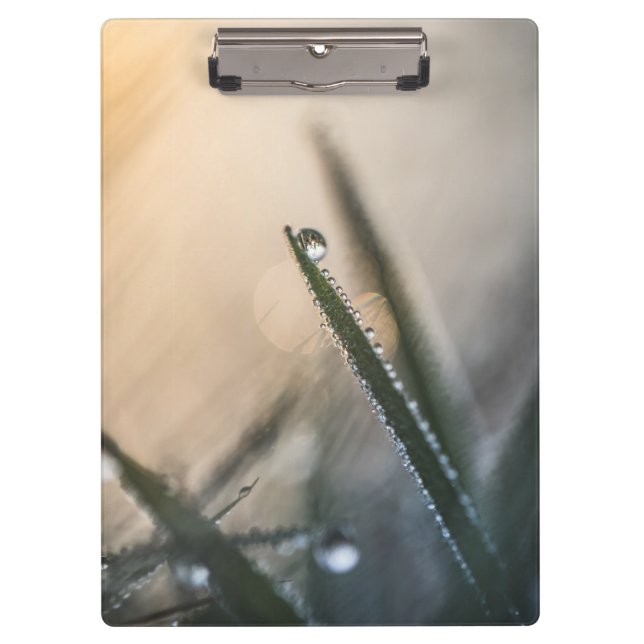 Dew Droplet on Grass Floral Nature Photo Clipboard (Front)