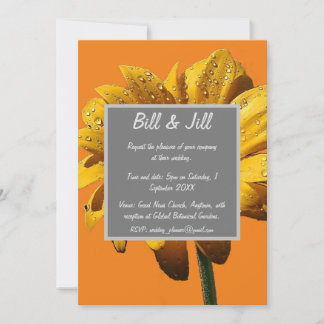 Dew Drops Daisy Wedding Invitation