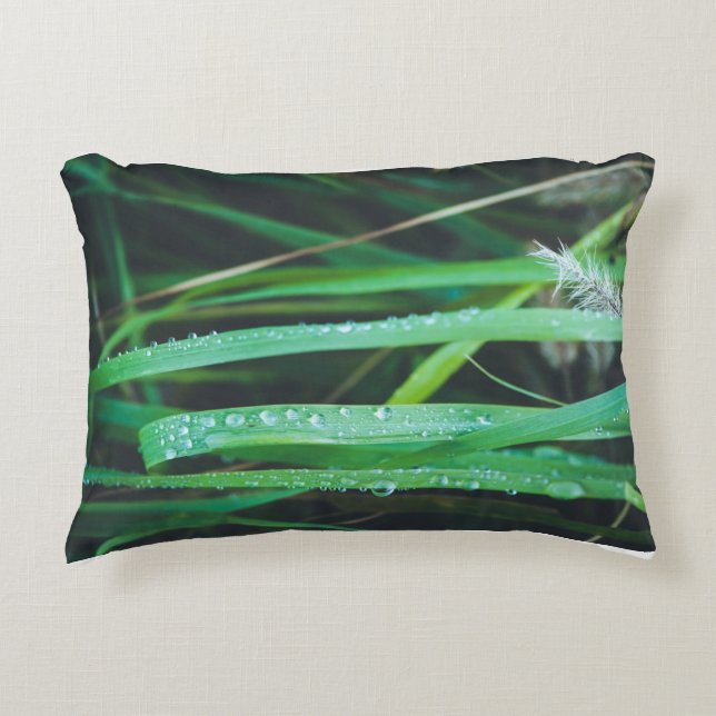Dew drops on blades of grass accent pillow (Front)