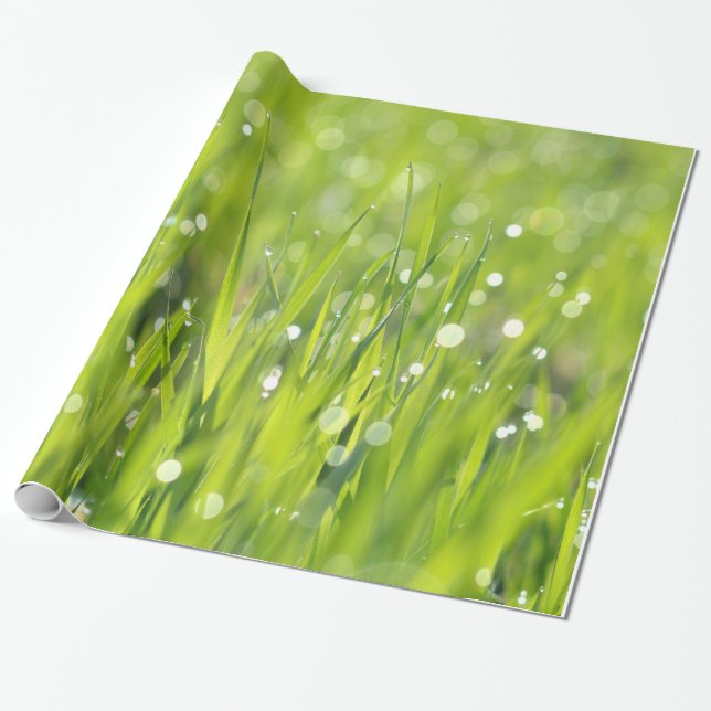 Dew Drops on Grass Wrapping Paper (Unrolled)